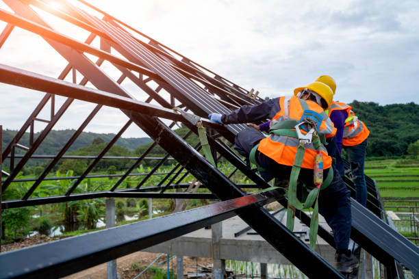 Best Storm Damage Roof Repair  in Denison, IA