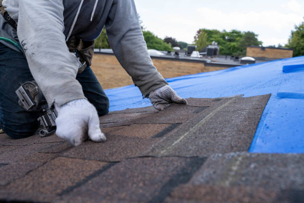 Best New Roof Installation  in Denison, IA